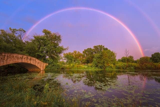 an image of a rainbow over a serene pond. A small rock footbridge is on the left.
